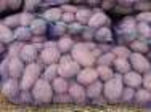Продам картофель ХОРОШОГО КАЧЕСТВА #583163