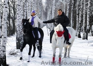 Конные погулки,  прокат аристократической кареты #580270