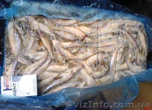 Рыба свежомороженая #577472