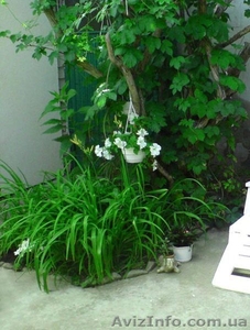 Домик 1-к.,  студия,  4 спальных места,  30кв.м. #590435