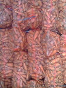 ПРОДАМ МОРКОВЬ СВЕКЛУ #590571