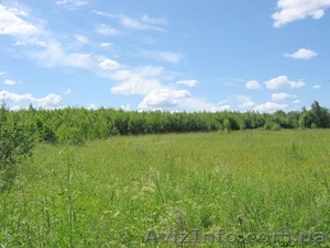 Дом,  участок 35 сот,  65 км от Киева #564585