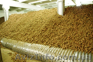 Строительство и проектировка овощехранилищ #582773