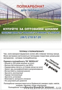 Сотовый поликарбонат Ровно. 4 мм 6 мм 8мм 10мм #566726