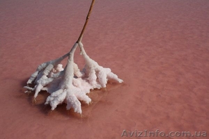 Соль Морская Розовая Крыма #564476