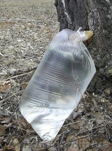 Доставлю,  продам БЕРЕЗОВЫЙ СОК(Киев и Киевская обл.)) #586913