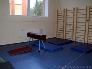 ОБОРУДОВАНИЕ ГИМНАСТИЧЕСКОЕ: БРУСЬЯ,  БРЕВНО,  ПЕРЕКЛАДИНА,  КОНЬ,  КОЗЕЛ И ДР. #566927