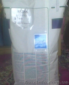 Семена подсолнечника Сингента #549504