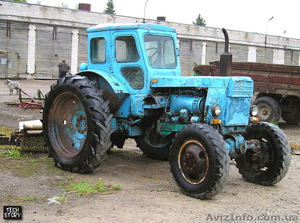 продам трактор т40 ам #590556