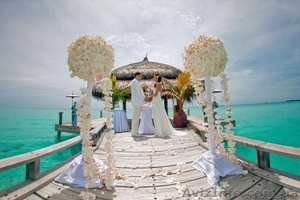 Профессиональные видеоуслуги. #587504