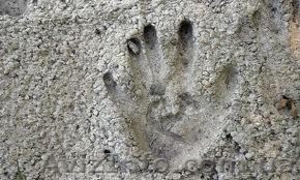 Продажа цемента в Харькове и Харьковской области #598087