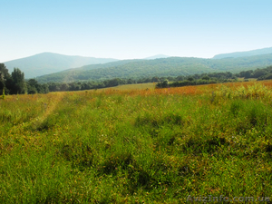 Продается участок у речки в Передовом,  Байдарская долина - Крым #593287