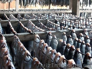 Рыба вяленая оптом #577480