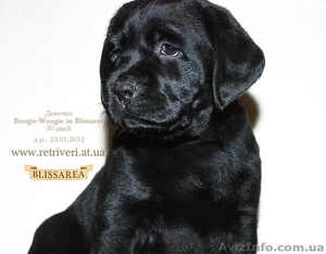 0506182105     0965994460 #641840