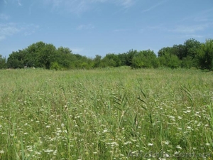 с.Степок Обуховского р-на #614604