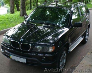 Обслуживание торжеств BMW X5 и Mercedes-Benz W210 в Житомире #608383