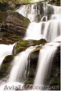 Отдых в Закарпатье #624413