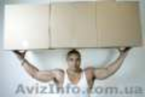 Предлагаю услуги грузчиков.Подъем строительных материалов, вынос и вывоз строй.му #613882