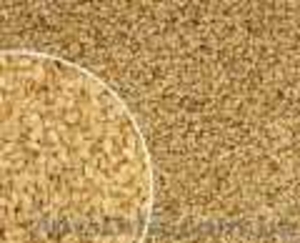 тахинная паста 500 г(кунжутная) #614340