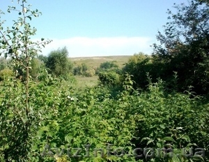 Продам дом возле Каменки Черкасской области #630787