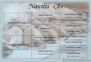 Перспективные щенки ЗОЛОТИСТОГО РЕТРИВЕРА профессиональный питомник #633176