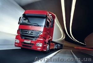 Каркасы из Европы #623113