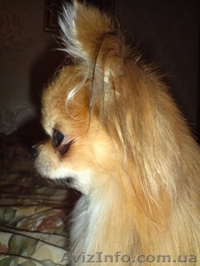 Всегда к Вашим услугам #606516