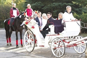 Конный Клуб Mon Ami #622987