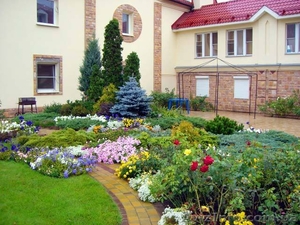 Озеленение всего #615392