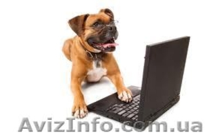 Услуги по ремонту ноутбуков  #636985