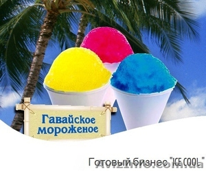 Новый летний бизнес 2012 Гавайское мороженное Ice Cool #622009