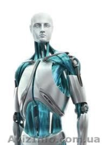 Быстрая компьютерная помощь,  настройка офисного оборудования #611623