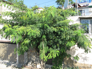 Квартира в 3 мин. от моря #632509