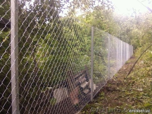 Заборо из сетки рабица #612174