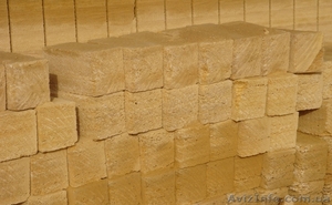 Крымский камень ракушечник #629109