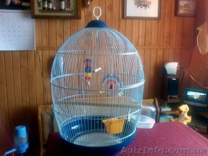 Клетка для попугайчика #616906