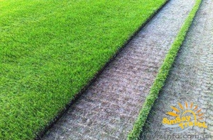 Натуральный рулонный газон #606378