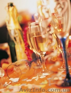 Тамада и Ди-джей-праздник на любой вкус #639523