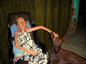 СРОЧНО ИЩУ НЯНЮ. #613659