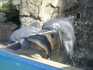 строительство и ландшафт #638207