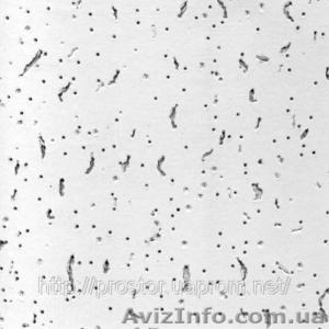 Плита подвесного потолка #635543