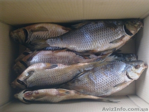 Рыба вяленая, копченая, мороженая #622517