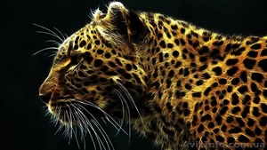 Большой спектр полиграфических услуг Киев #607886