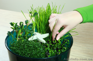 Проращиватель семян Ves Electric V-GH 201 #618279