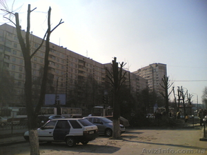 Спил деревьев,  спилить деревья,  ветки,  удалить пень харьков #613592