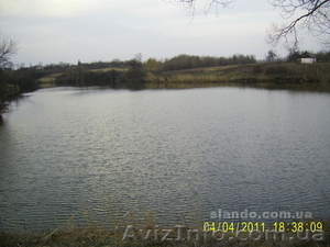 Зарыбленный ставок #616406