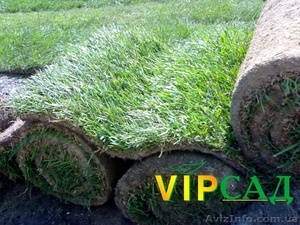 Рулонный газон купить  #617890