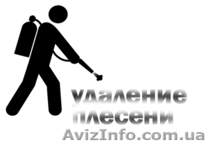 Удаление грибка и плесени со стен, потолка, в ванной, кухне, бассейне, яхте #634747