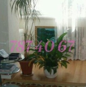 -кв.,  5/10,  спецпроект,  Таирова. #622377