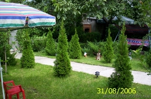 Cдам посуточно!!! Квартиры!!! #664208